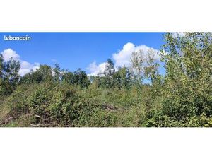 Terrain ancienne peupleraie