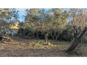 Vente terrain Sérignan-du-Comtat