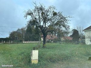 Terrain constructible