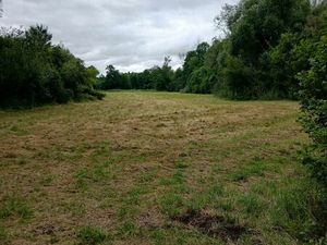 Parcelle de marais 1 ha 15