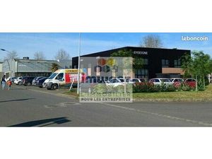 Local bureaux 299 m²