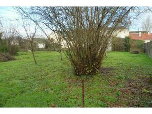 Terrain constructible