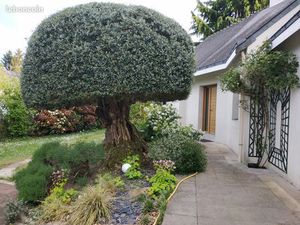 Maison contemporaine 7 pièces