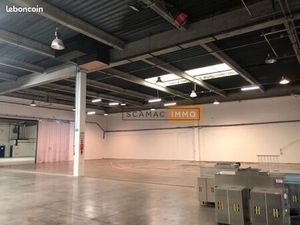 Local d'activité 547 m²