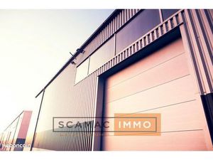 Local industriel 6 026 m²