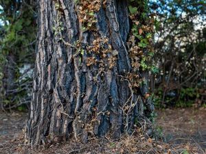 Maison 2 pièces 75 m²