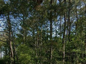 Terrain de Loisirs 2800m2 FEREL