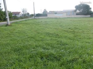 TERRAIN constructible 1277 m2