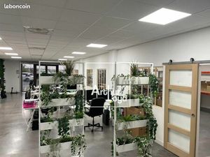 Local commercial 266 m²