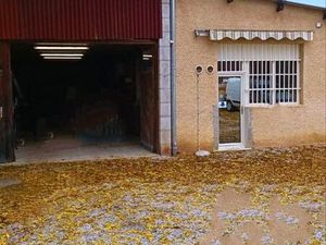 Local commercial artisan