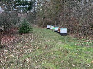 Terrain Coubon les Chirouzes vue dégagée