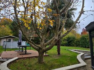 Maison individuelle de 168m2