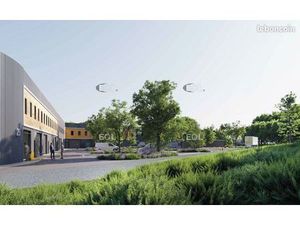 Local d'activité 341 m²