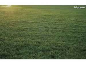 Terrain 550 m² La Tranche Sur Mer