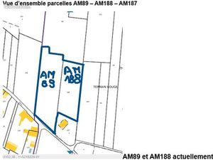 Vente vigne Morgon 80 ares