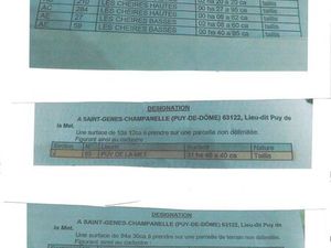 Terrains bois et prés