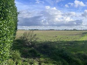 Terrain 519 m² Provin