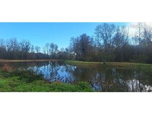 Terrain 14299 m² YVRE L EVEQUE