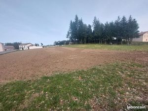 Terrain constructible