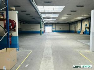 Local d'activité 1 185 m²