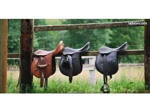 Boutique e-commerce spécialisée dans l’équipement équestre – Belle opportunité à relancer