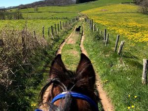 Recherche propriété pour évolution d'activité équestre