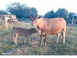 Chercher herbage en location