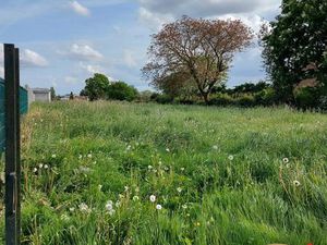 Terrain 978 m² Créquy