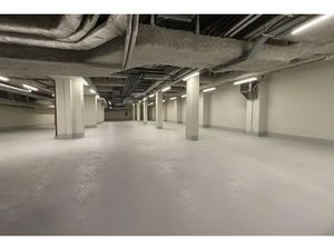 Local professionnel - 300m ²