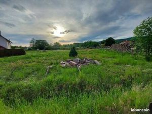 Terrain constructible