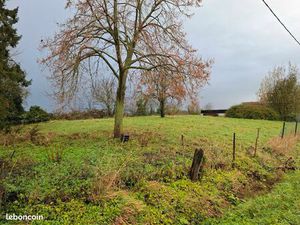 Terrain constructible