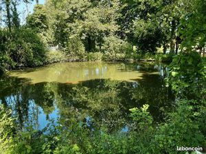 Terrain constructible