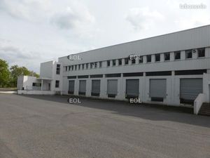 Local logistique 5 378 m²