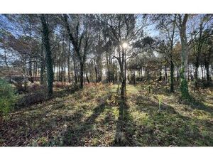 Terrain Seignosse m² T- à vendre  490 000 €