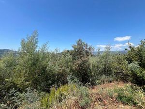 Auribeau-Sur-Siagne : Terrain non constructible Zone N