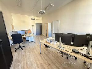 Location local professionnel