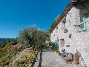 A vendre très belle propriété avec oliveraie à L'Esacrène