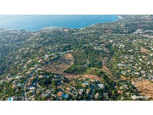 Vite Vite Rare opportunité d’un excellent investissement dans le foncier au Golfe de Saint