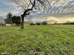 Terrain 1 589 m² Liniers