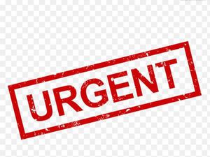 Urgent recherche location