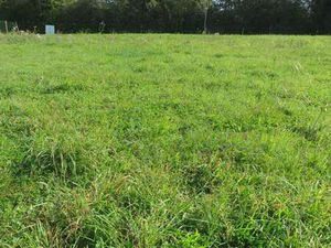 Vente Terrain à Machecoul-Saint-Même (44270) : à vendre / 330m² Machecoul-Saint-Même