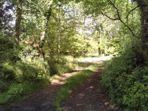 Vente Terrain à Quistinic (56310) : à vendre / Quistinic