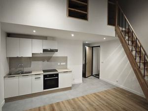 Superbe appartement entièrement rénové  style loft avec mezzanine