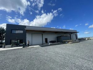 LOCAL D'ACTIVITE A VENDRE