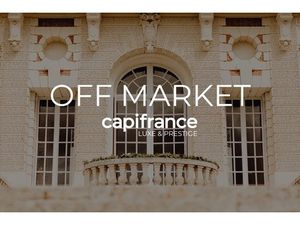 Propriete à vendre 28 pièces proche de TOURS (37)