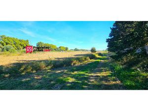 Achat Terrain 19 599m² ELNE 66200