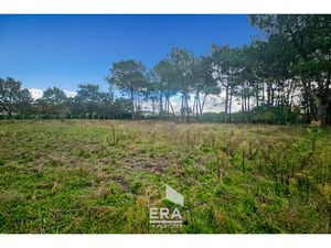 Terrain 0 pièces 600 m² à vendre / acheter saint-aubin-de-médoc 33160 ? | ERA Immobilier