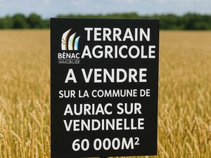 Terrain à vendre Auriac-sur-Vendinelle