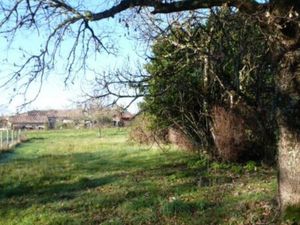 Vente terrain 827 m² Madirac (33670)