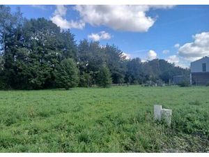 Vente terrain 1000 m² Prignac-et-Marcamps (33710)